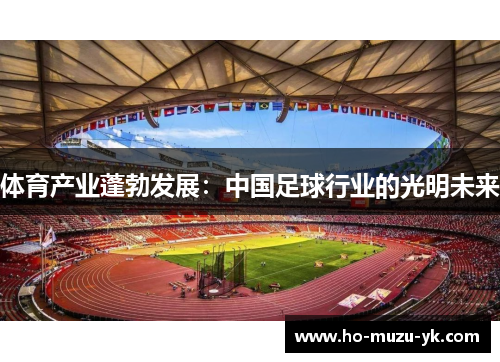 体育产业蓬勃发展：中国足球行业的光明未来